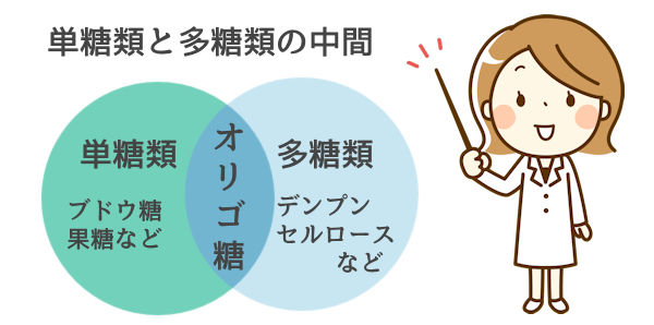 ブドウ糖とオリゴ糖の違い